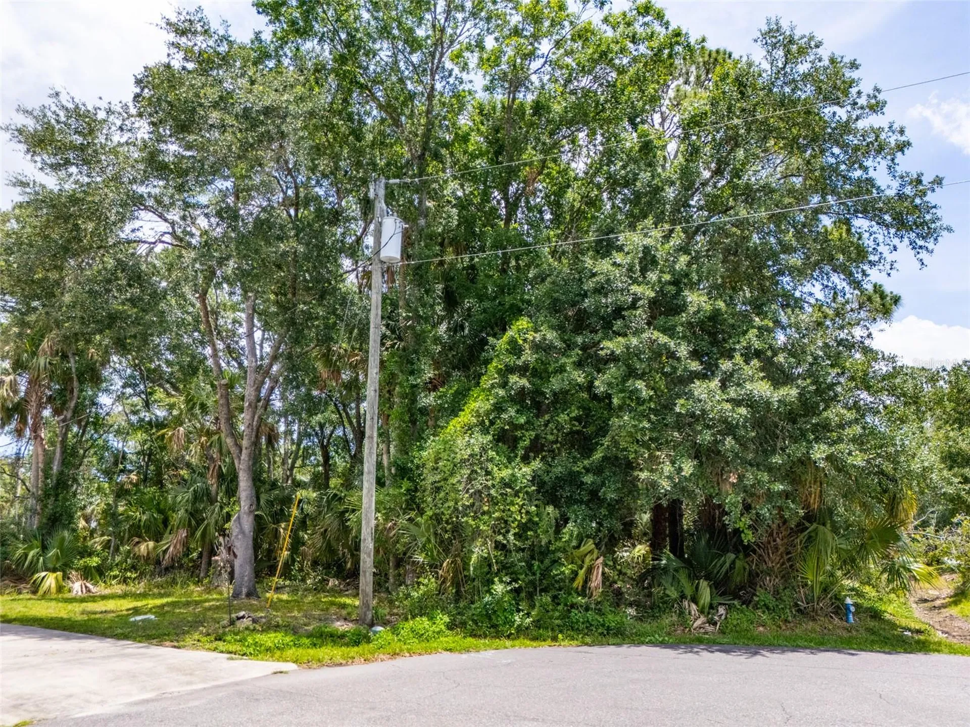 16 White Hawk Place Palm Coast FL 32164