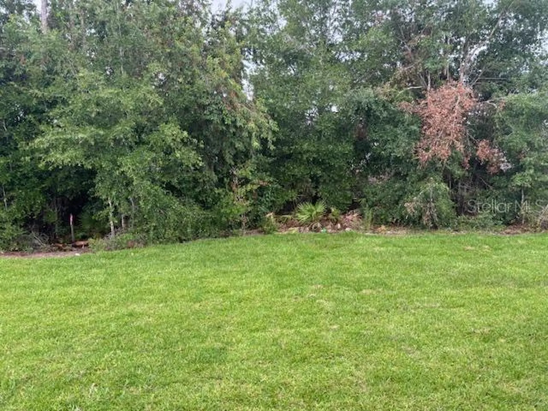 7637 SW 180th Circle Dunnellon FL 34432