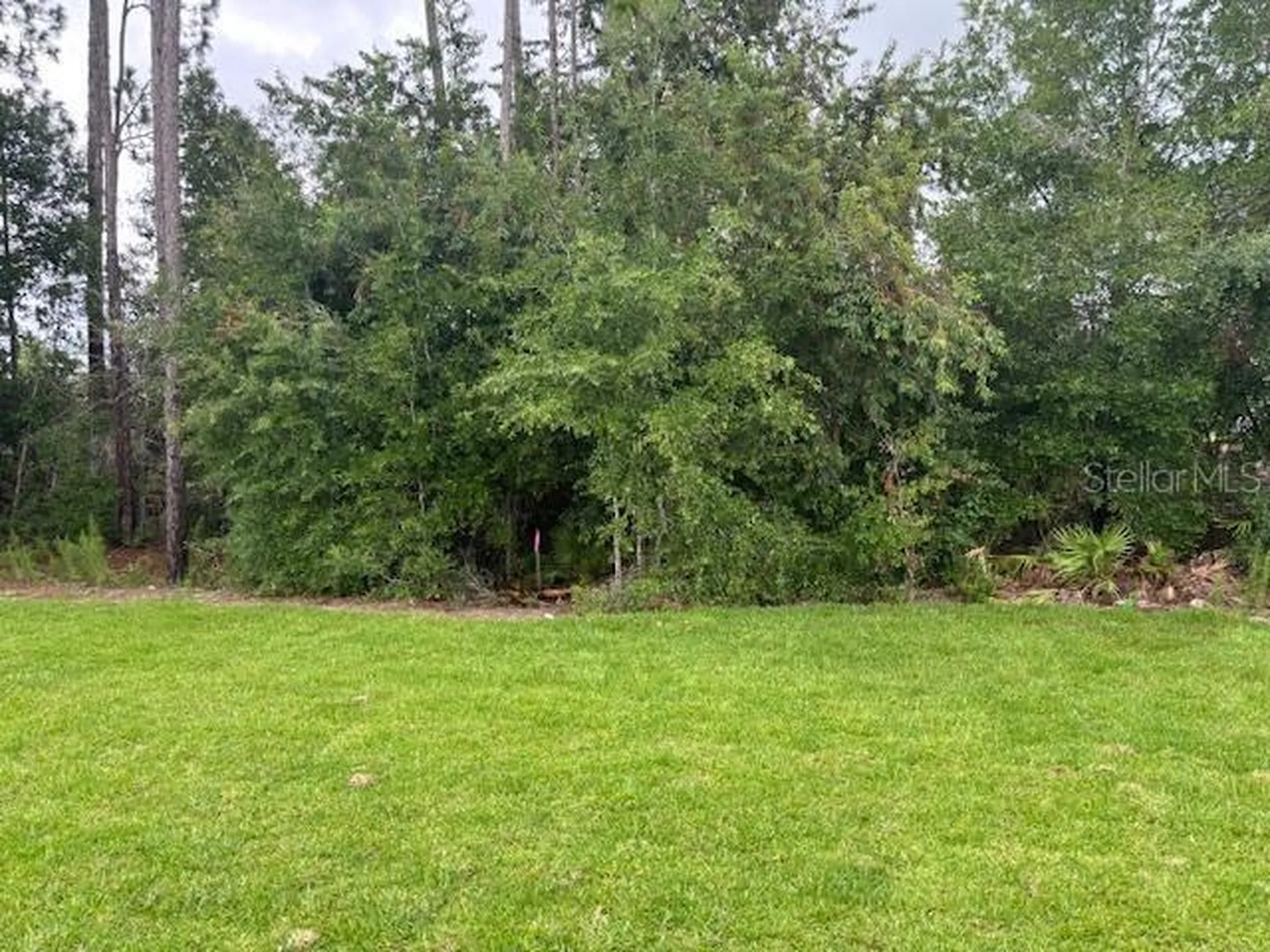7637 SW 180th Circle Dunnellon FL 34432