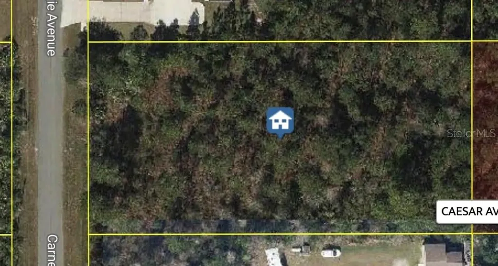 Carnegie Avenue Orlando FL 32833