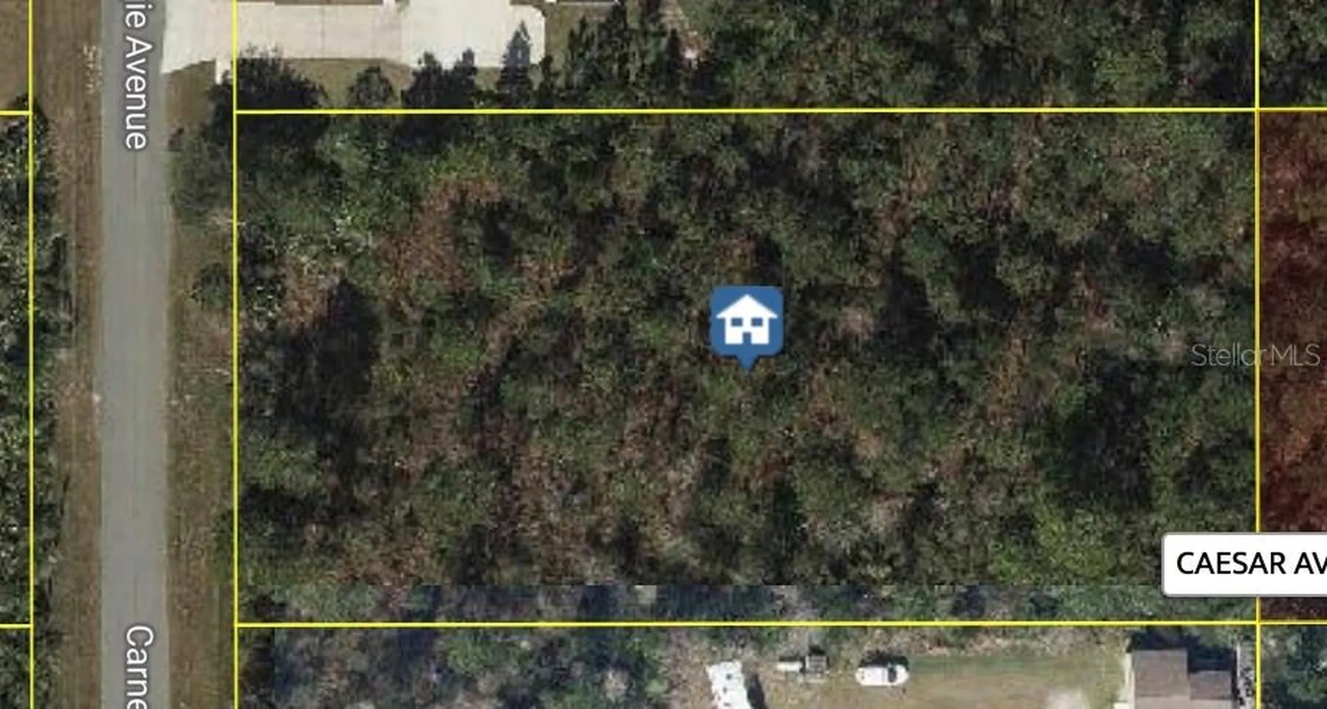 Carnegie Avenue Orlando FL 32833