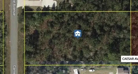 Carnegie Avenue Orlando FL 32833
