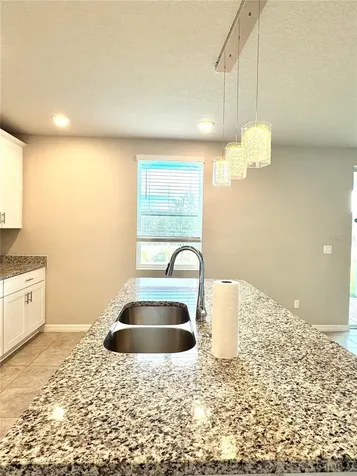 291 Whistling Duck Trail St Cloud FL 34771