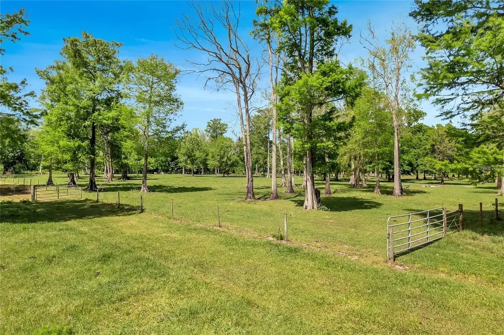 Tbd Corkwood Lane Astatula FL 34705