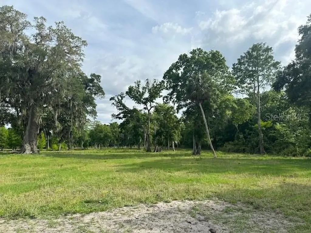 Tbd Corkwood Lane Astatula FL 34705