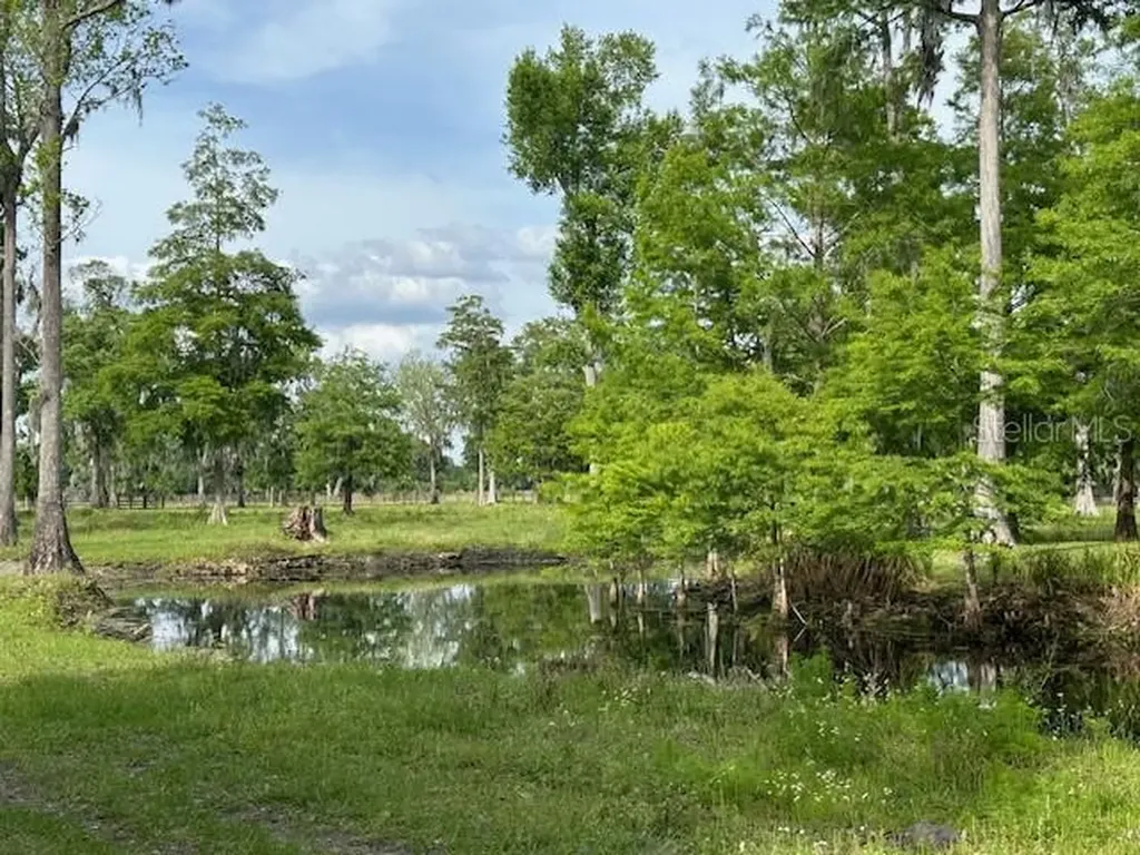 Tbd Corkwood Lane Astatula FL 34705