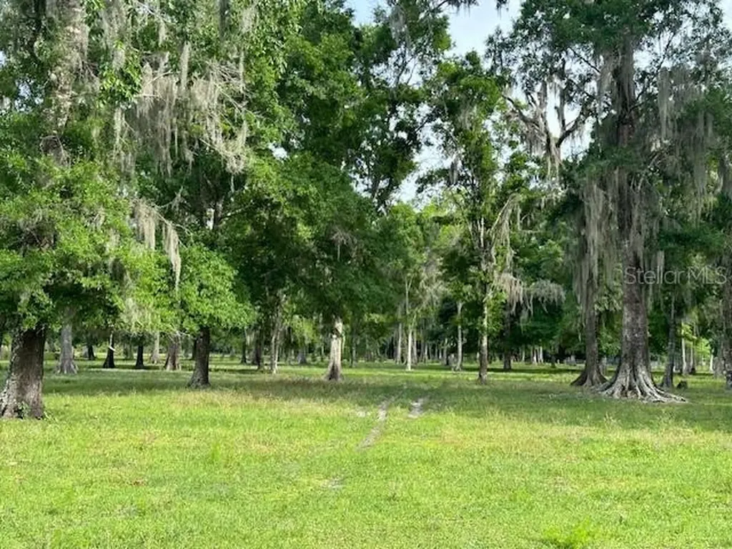 Tbd Corkwood Lane Astatula FL 34705