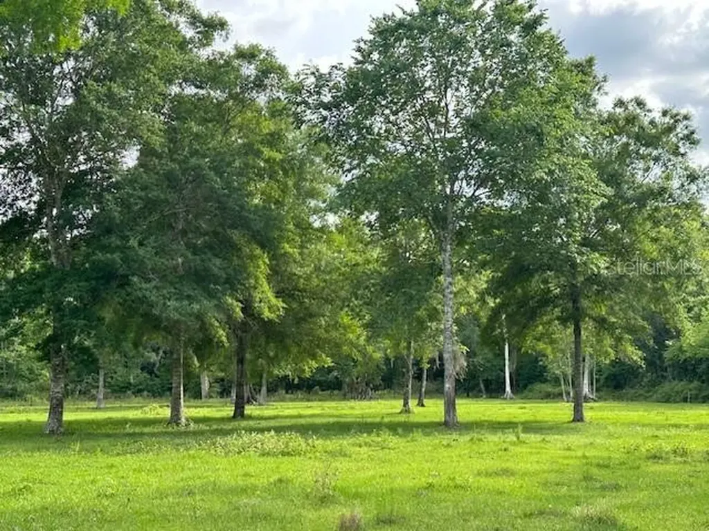 Tbd Corkwood Lane Astatula FL 34705