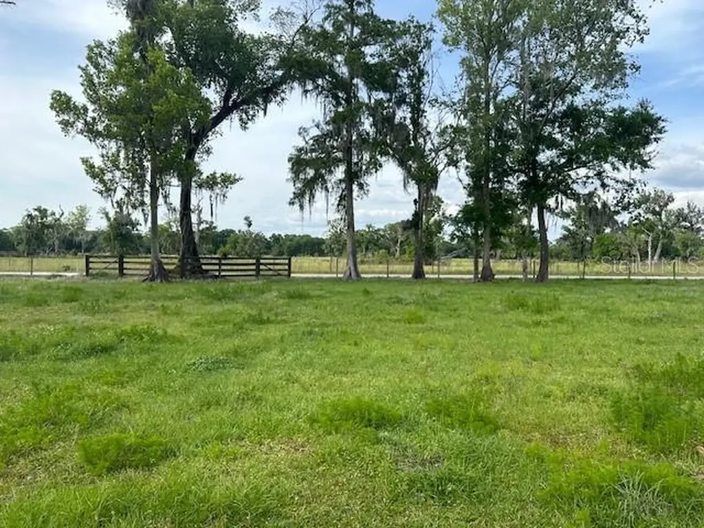 Tbd Corkwood Lane Astatula FL 34705