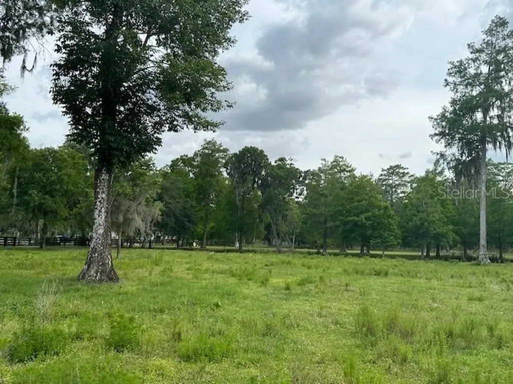 Tbd Corkwood Lane Astatula FL 34705