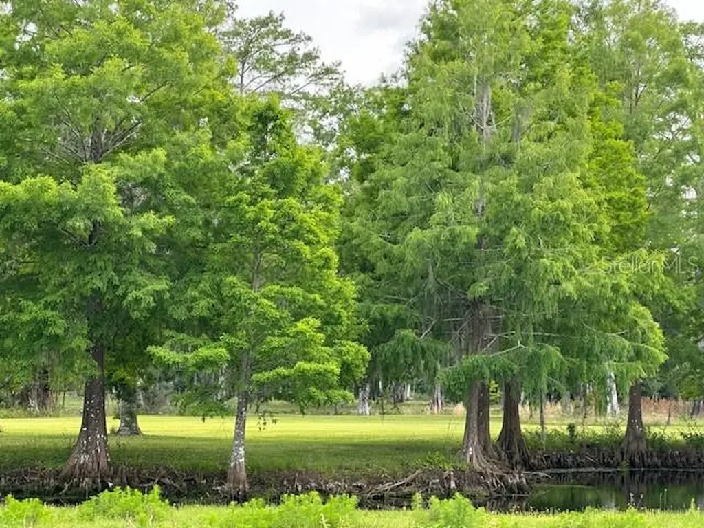 Tbd Corkwood Lane Astatula FL 34705