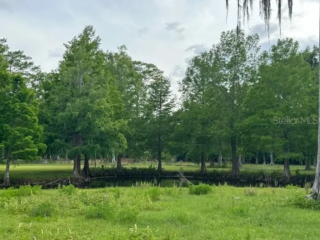 Tbd Corkwood Lane Astatula FL 34705