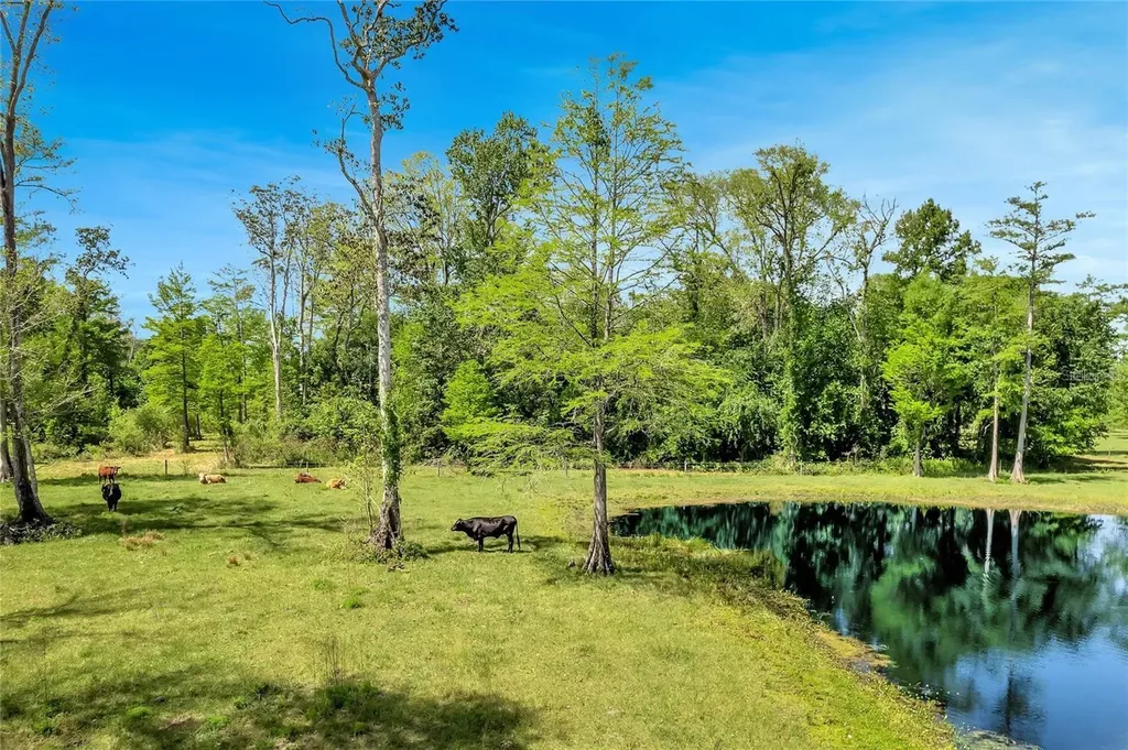 Tbd Corkwood Lane Astatula FL 34705