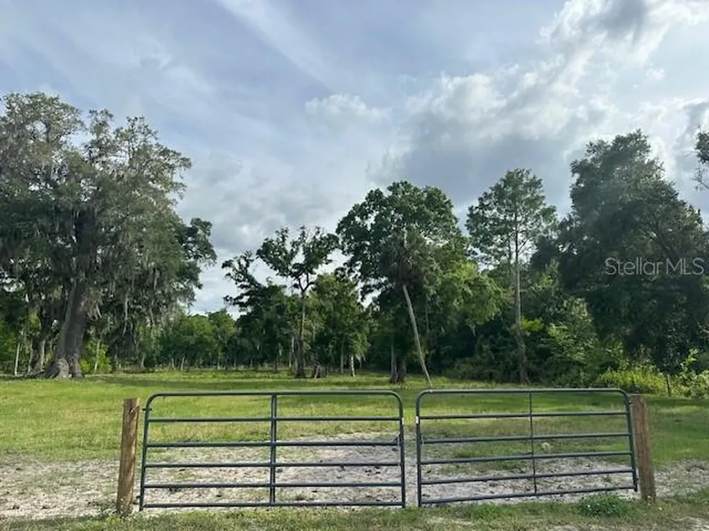 Tbd Corkwood Lane Astatula FL 34705