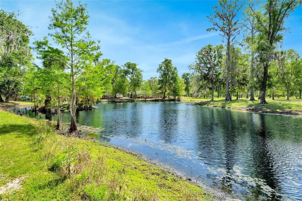 Tbd Corkwood Lane Astatula FL 34705