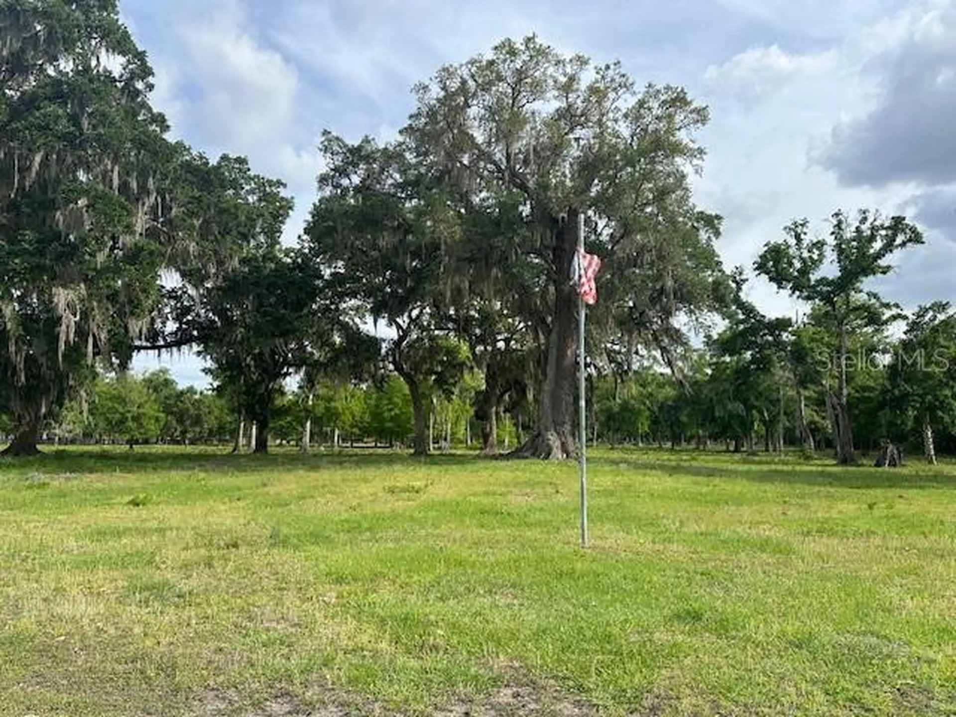Tbd Corkwood Lane Astatula FL 34705