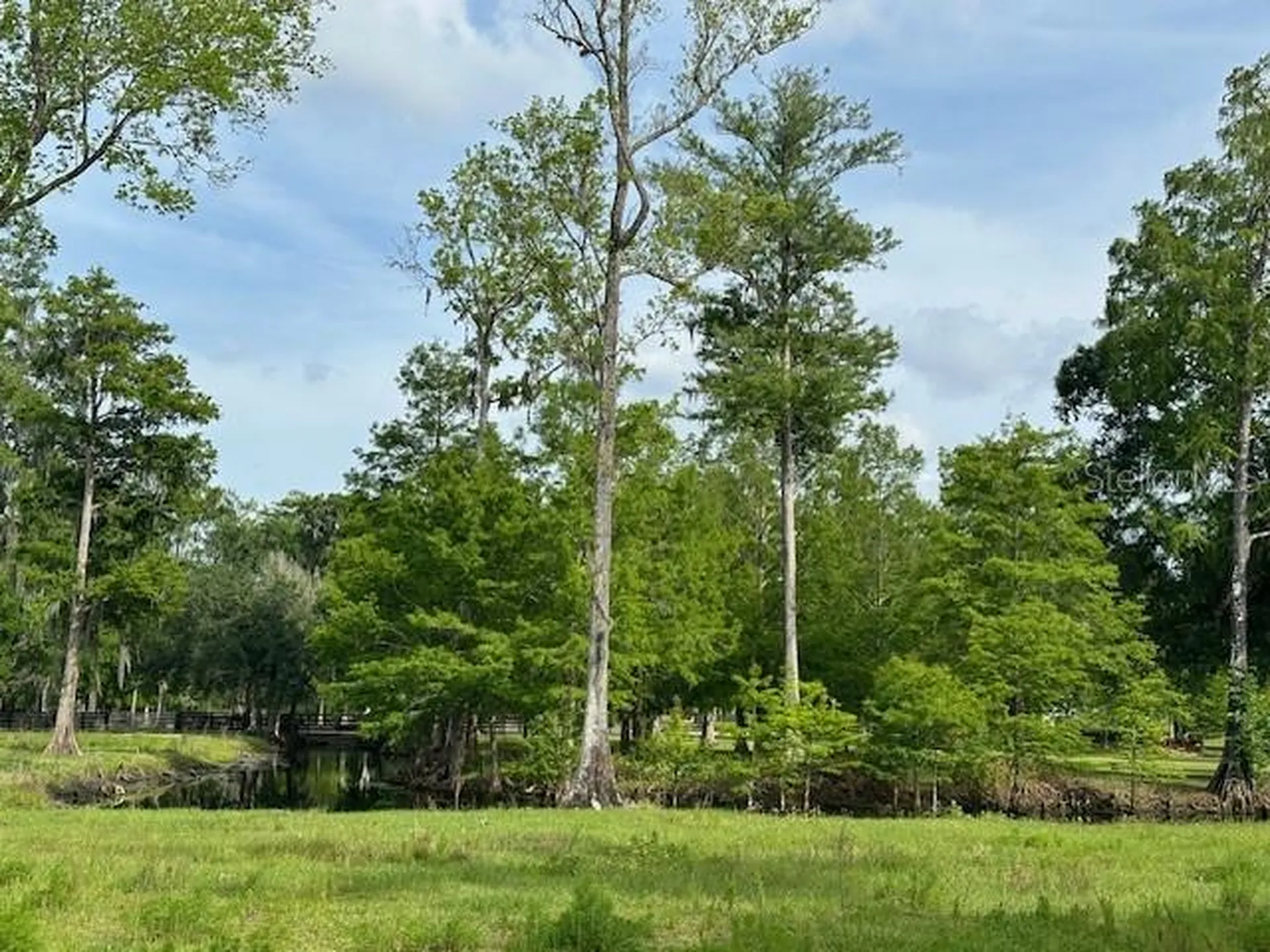 Tbd Corkwood Lane Astatula FL 34705