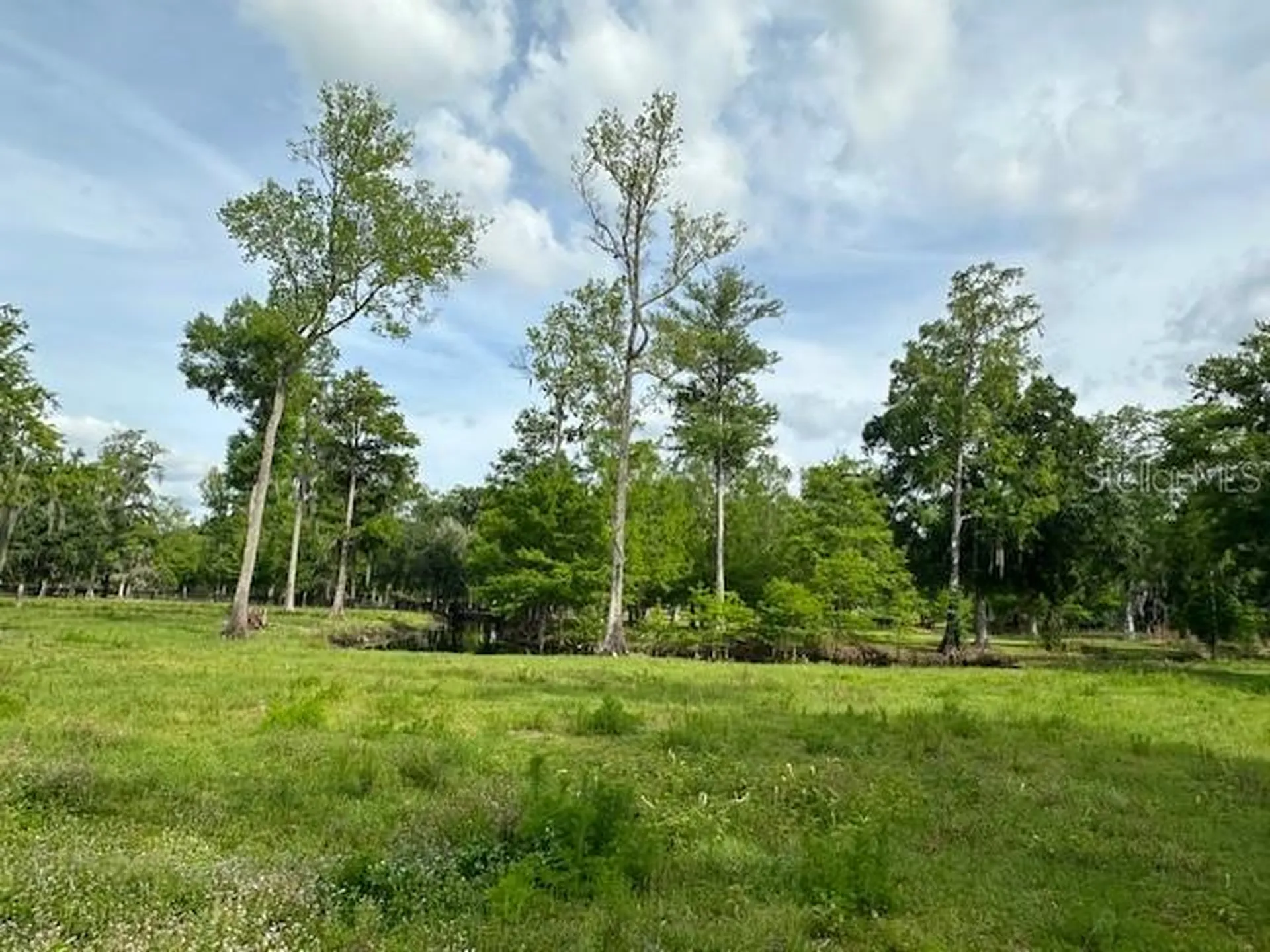 Tbd Corkwood Lane Astatula FL 34705