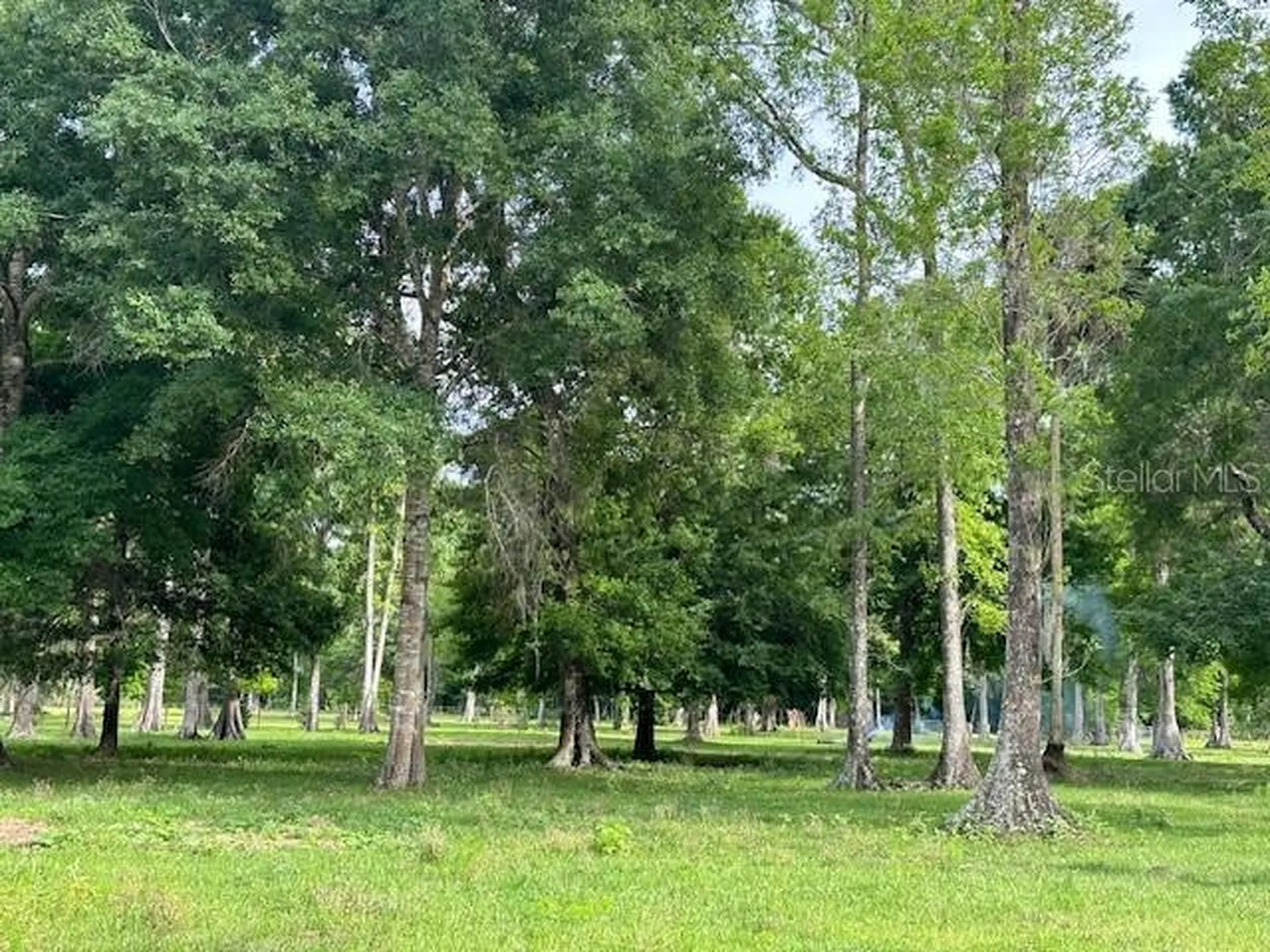 Tbd Corkwood Lane Astatula FL 34705