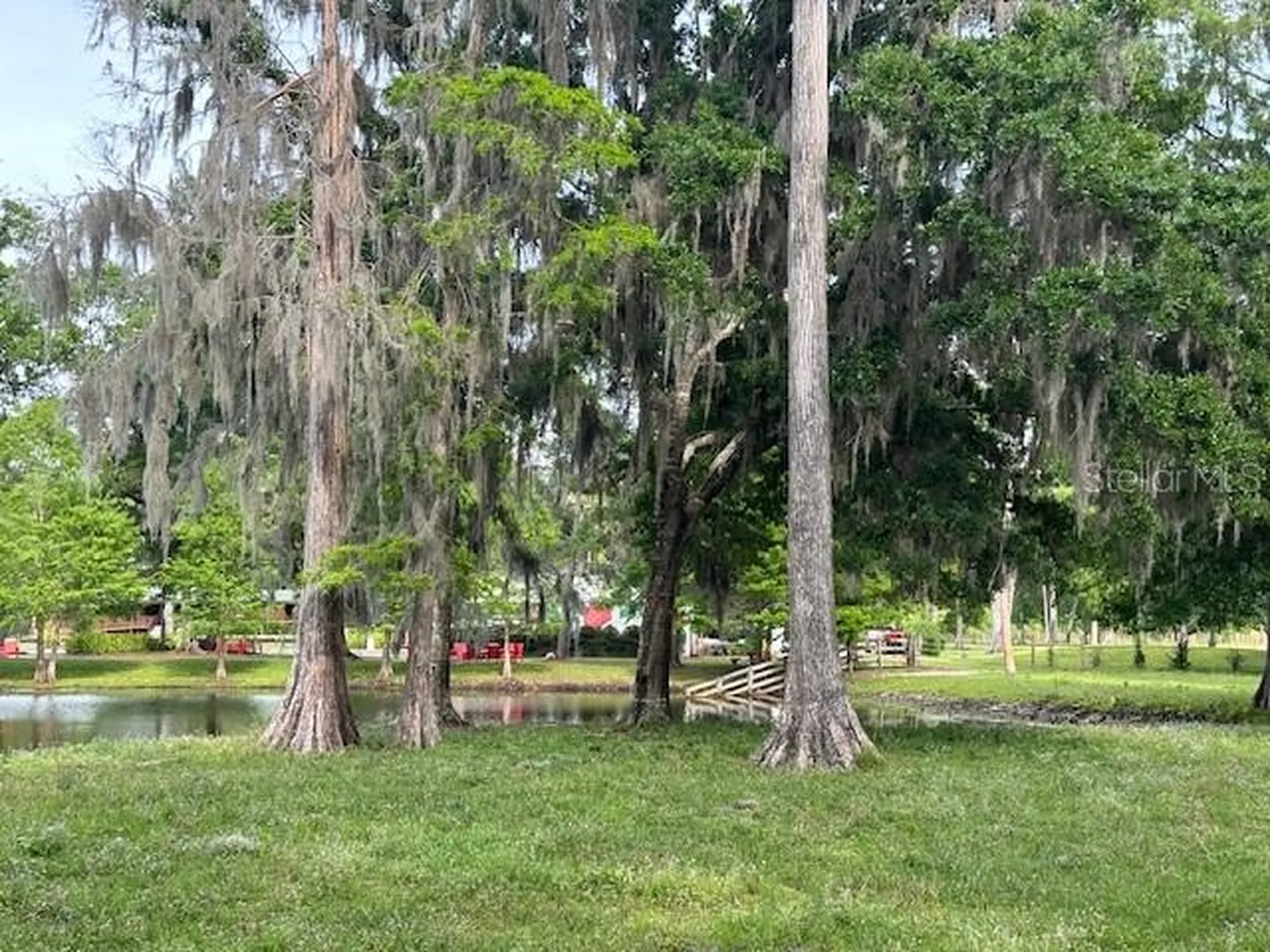 Tbd Corkwood Lane Astatula FL 34705