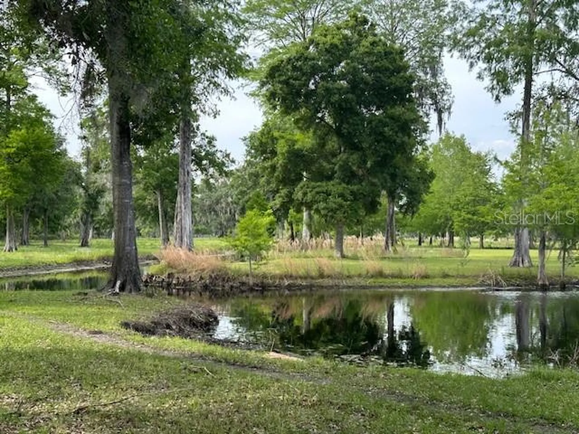Tbd Corkwood Lane Astatula FL 34705