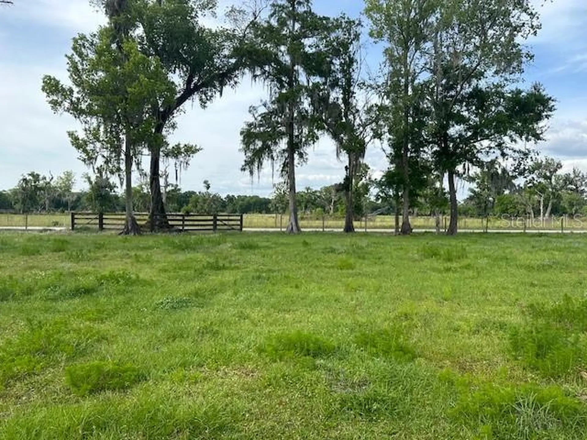 Tbd Corkwood Lane Astatula FL 34705