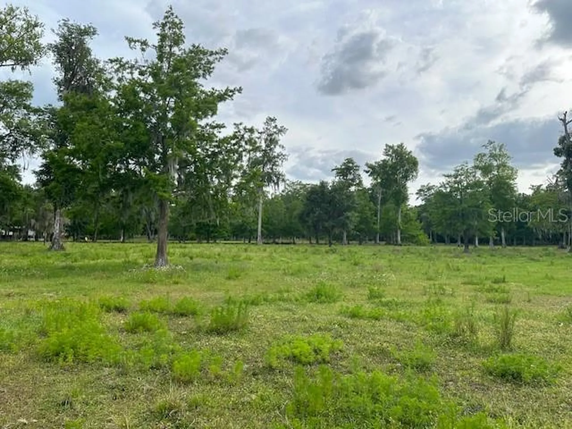 Tbd Corkwood Lane Astatula FL 34705