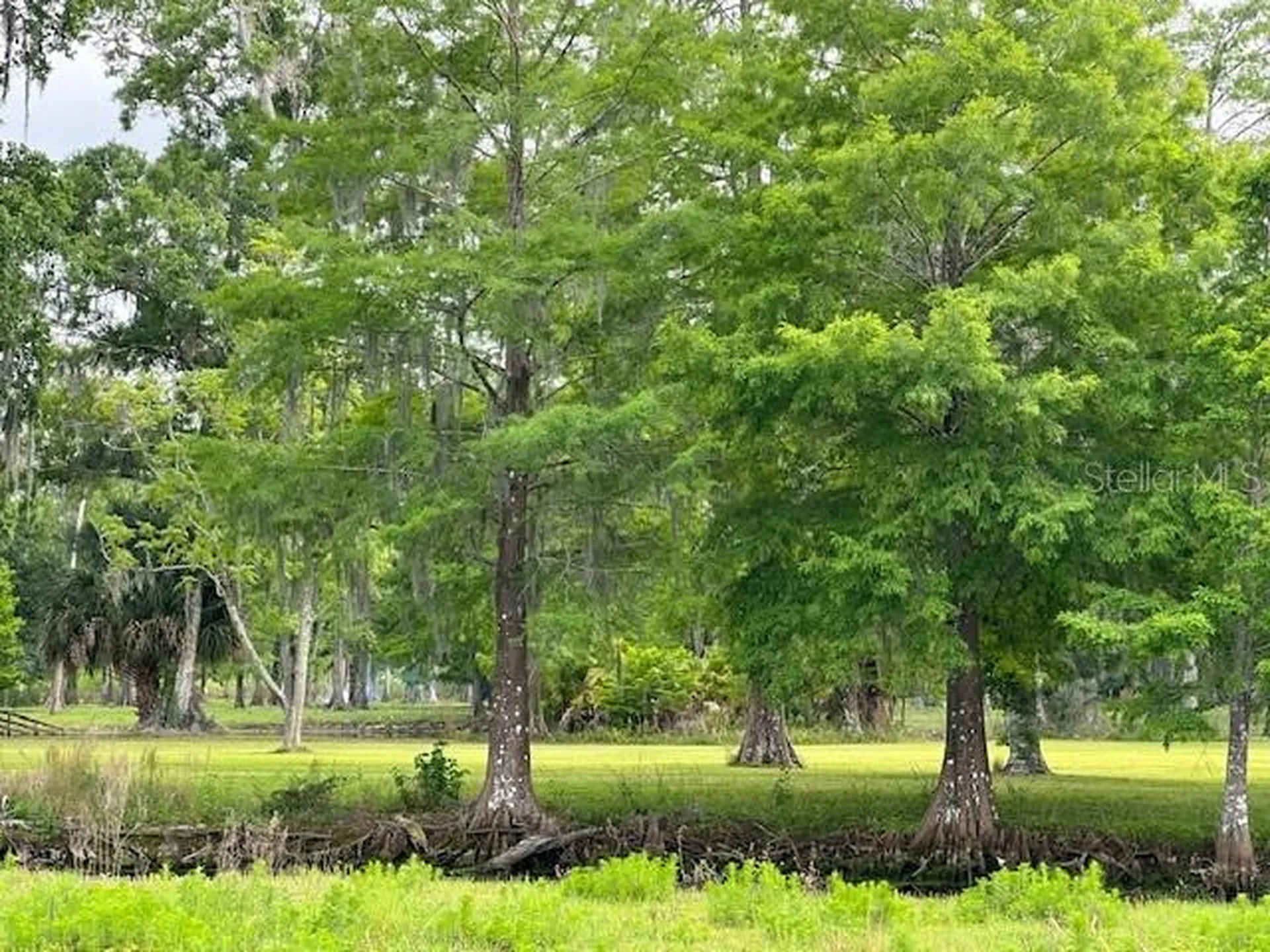 Tbd Corkwood Lane Astatula FL 34705