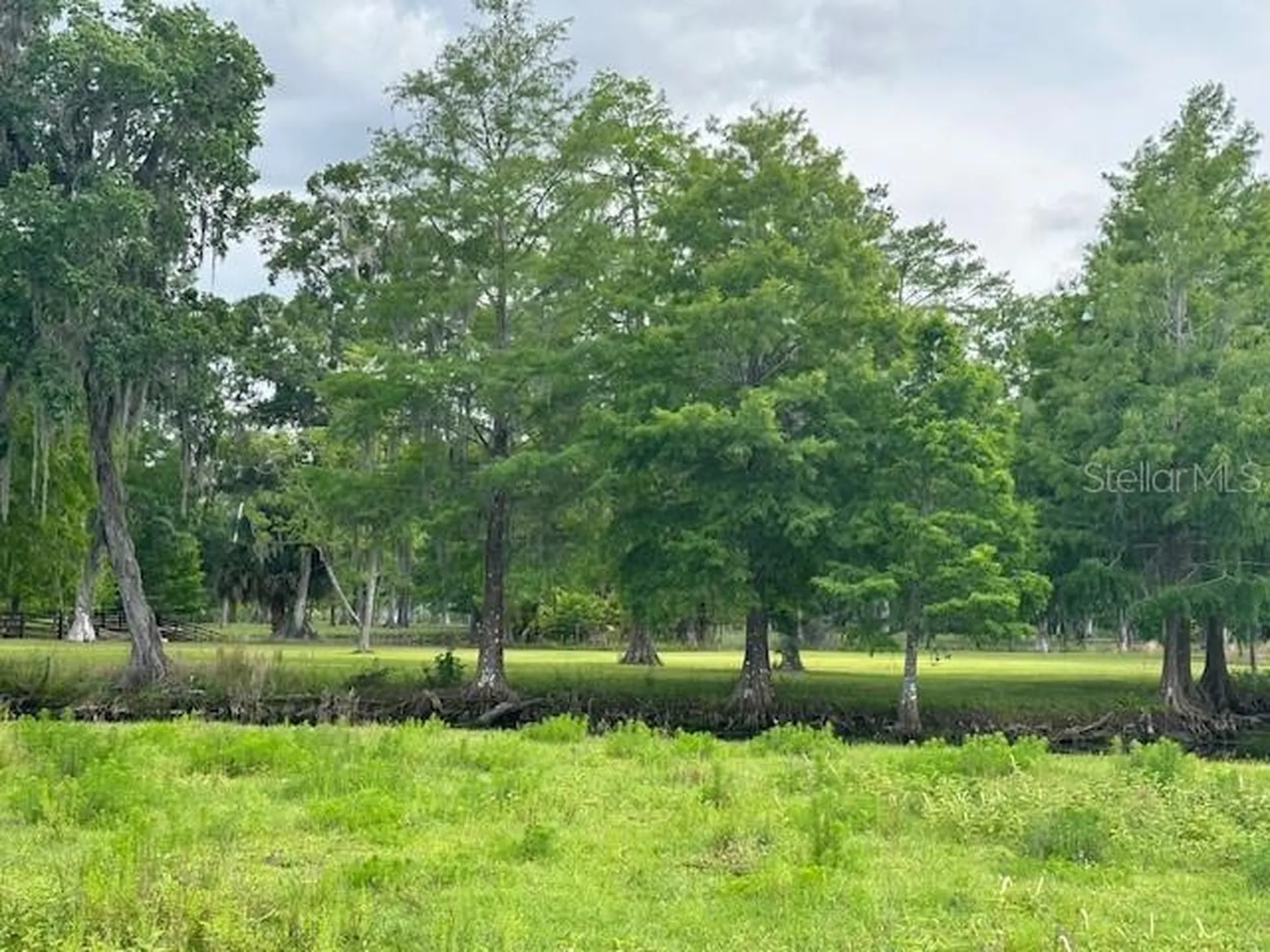 Tbd Corkwood Lane Astatula FL 34705