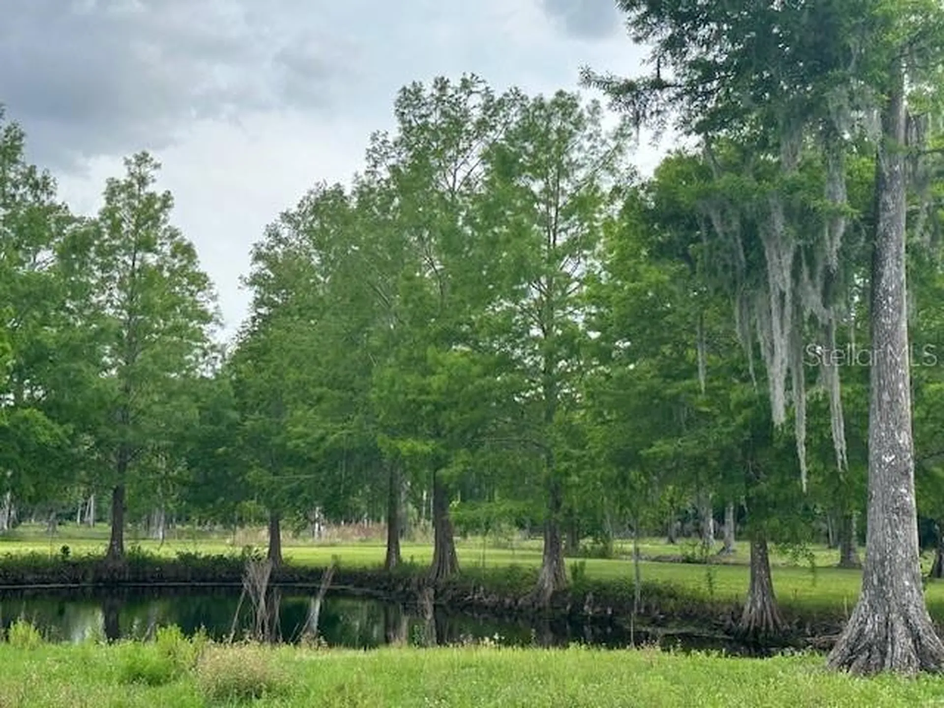 Tbd Corkwood Lane Astatula FL 34705