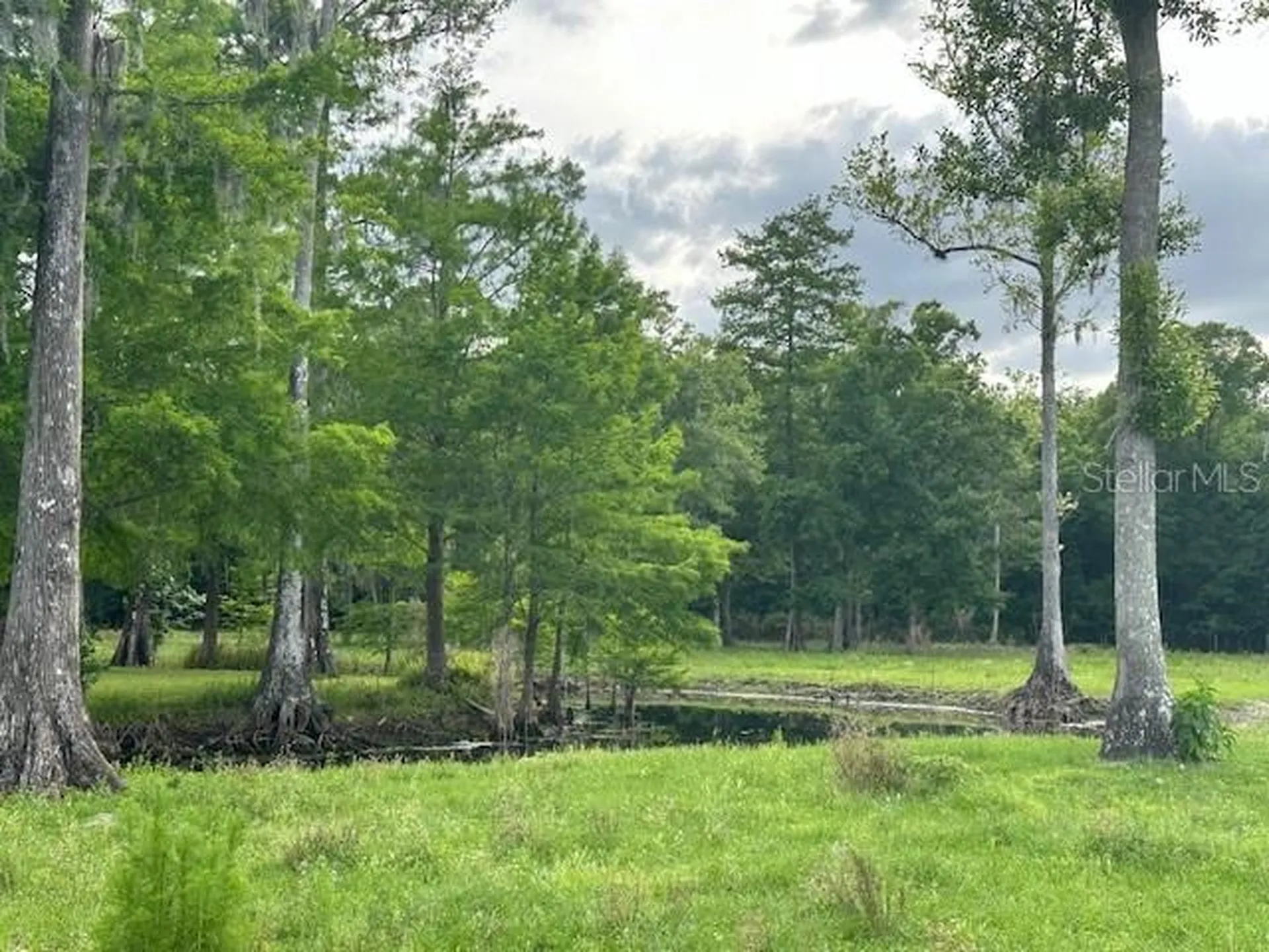 Tbd Corkwood Lane Astatula FL 34705