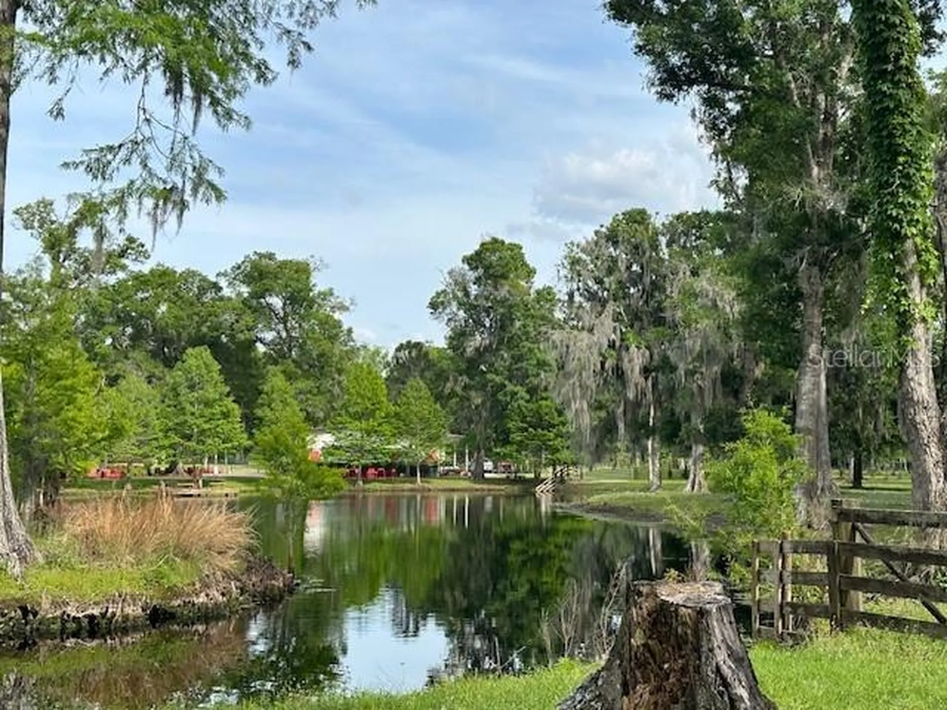 Tbd Corkwood Lane Astatula FL 34705