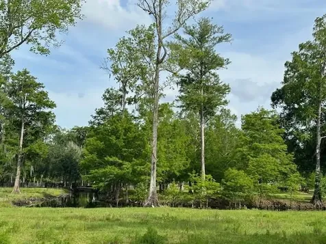 Tbd Corkwood Lane Astatula FL 34705