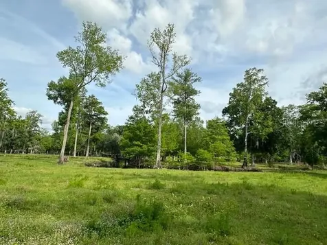 Tbd Corkwood Lane Astatula FL 34705