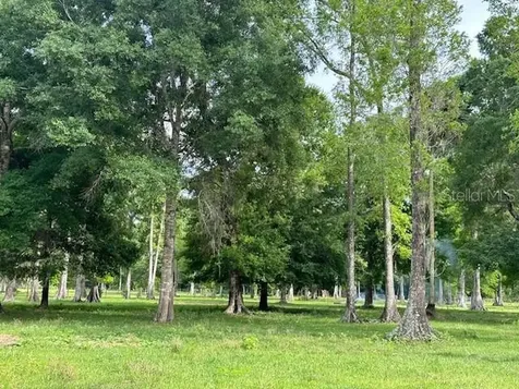 Tbd Corkwood Lane Astatula FL 34705