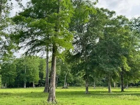 Tbd Corkwood Lane Astatula FL 34705