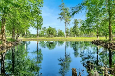 Tbd Corkwood Lane Astatula FL 34705