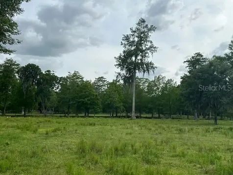 Tbd Corkwood Lane Astatula FL 34705