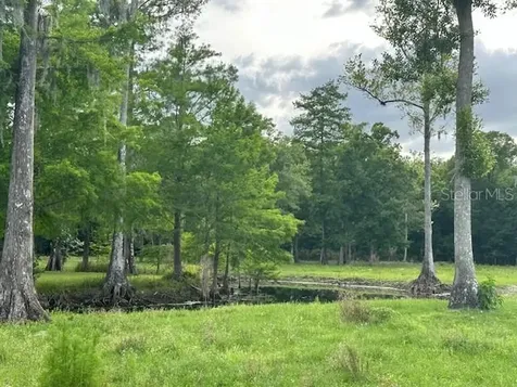 Tbd Corkwood Lane Astatula FL 34705