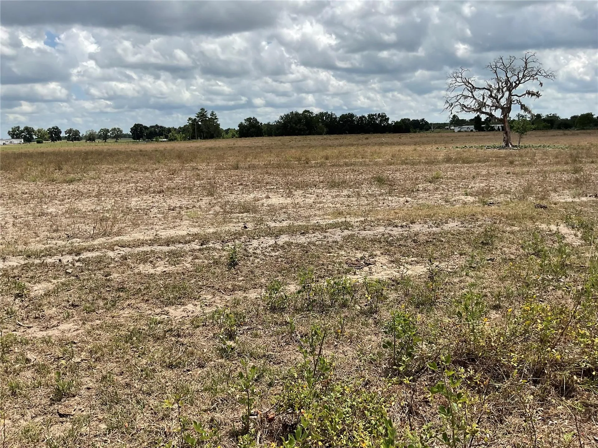 NE 46th Lane Bronson FL 32621