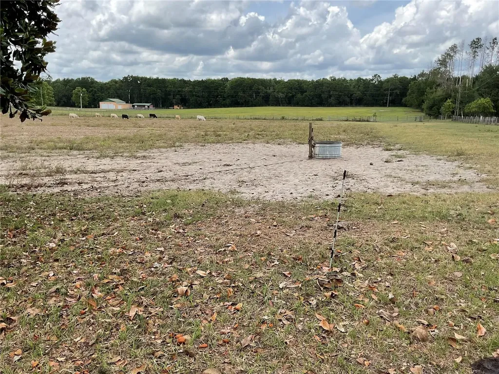 Tbd NE 46th Lane Bronson FL 32621