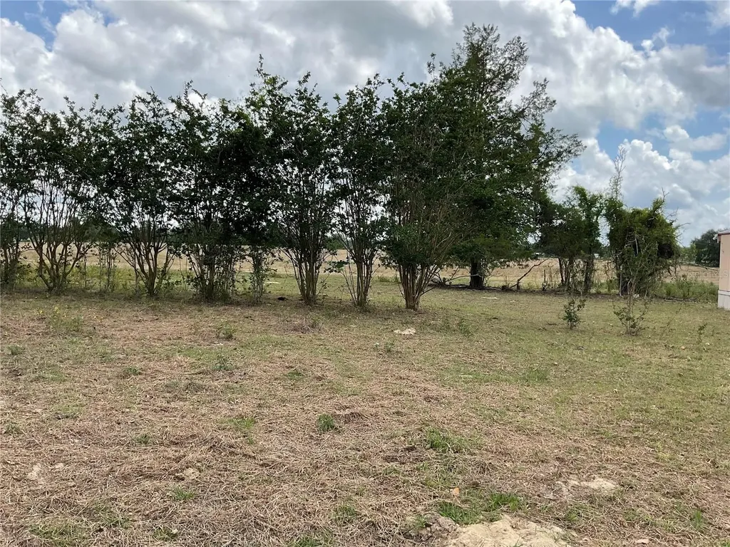 Tbd NE 46th Lane Bronson FL 32621