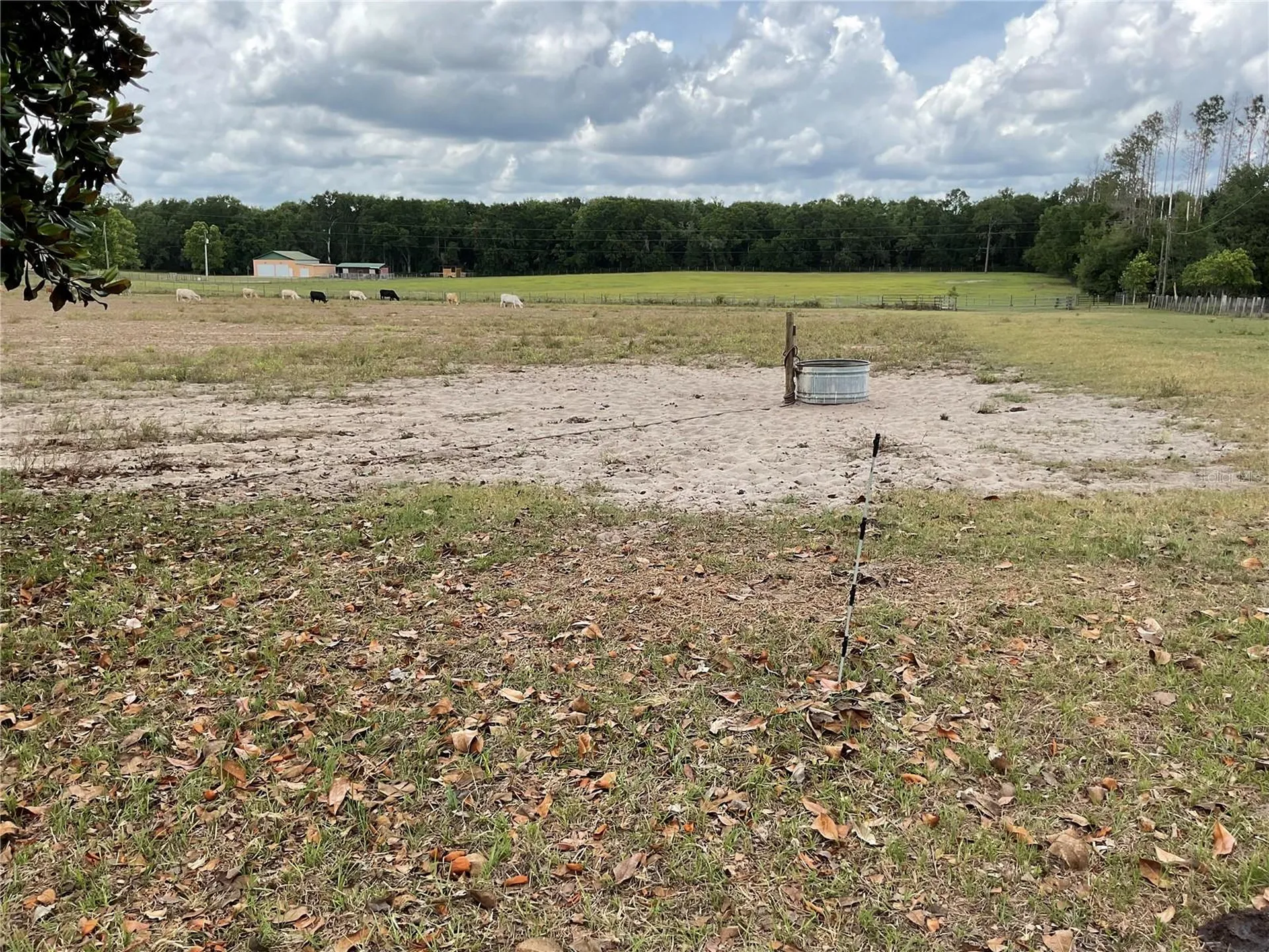 Tbd NE 46th Lane Bronson FL 32621