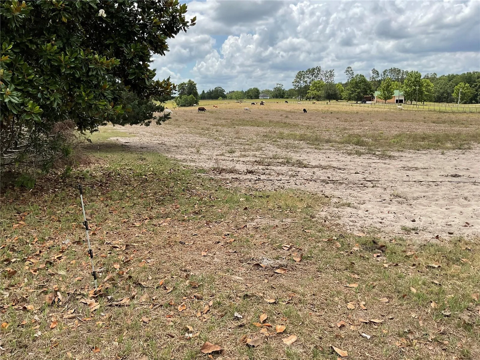 Tbd NE 46th Lane Bronson FL 32621