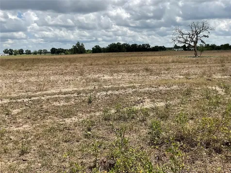 Tbd NE 46th Lane Bronson FL 32621