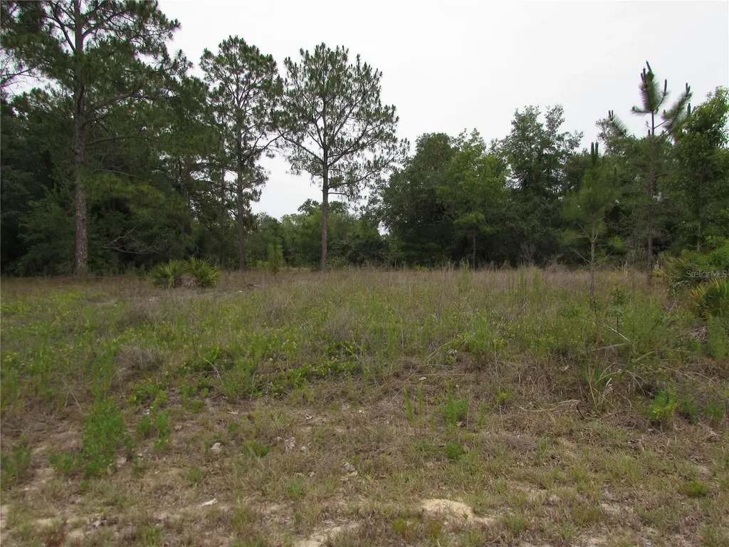 Lot 40 SW South Wind Court Dunnellon FL 34431