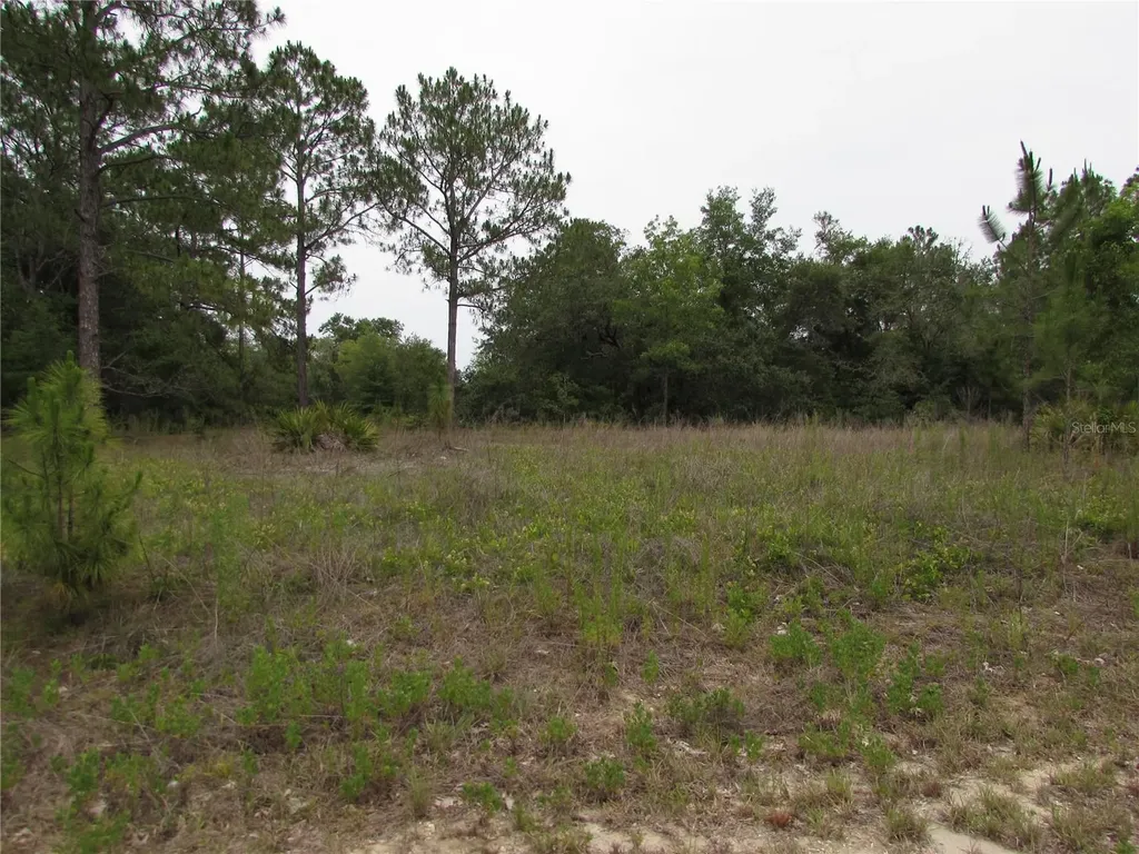 Lot 40 SW South Wind Court Dunnellon FL 34431
