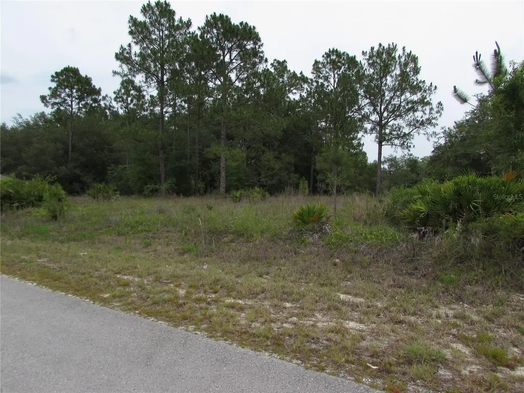 Lot 40 SW South Wind Court Dunnellon FL 34431