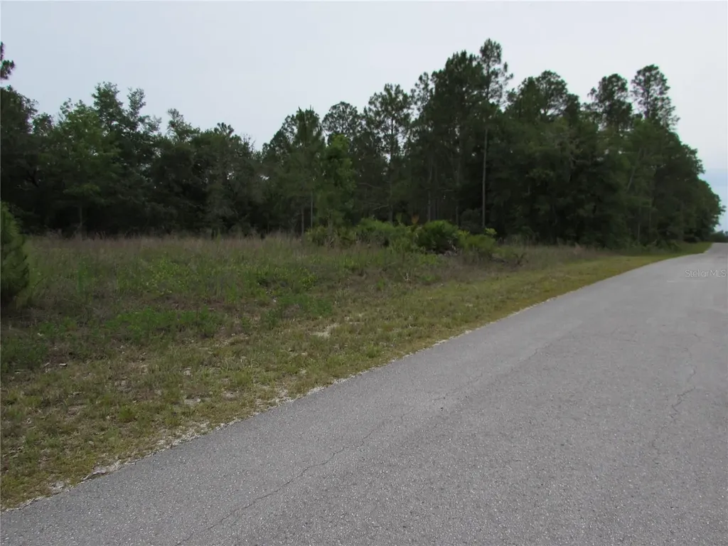 Lot 40 SW South Wind Court Dunnellon FL 34431