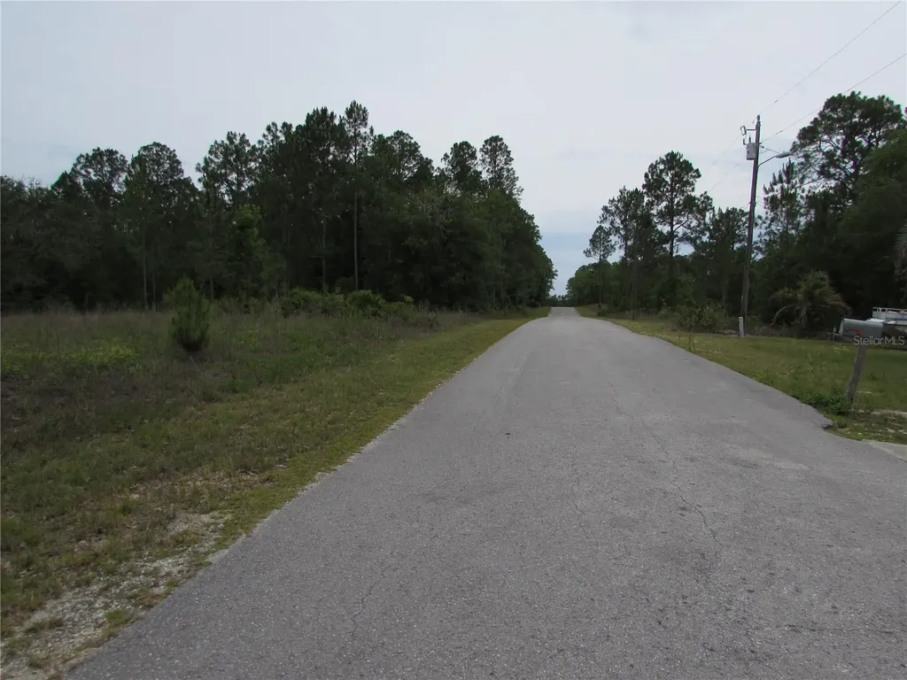 Lot 40 SW South Wind Court Dunnellon FL 34431